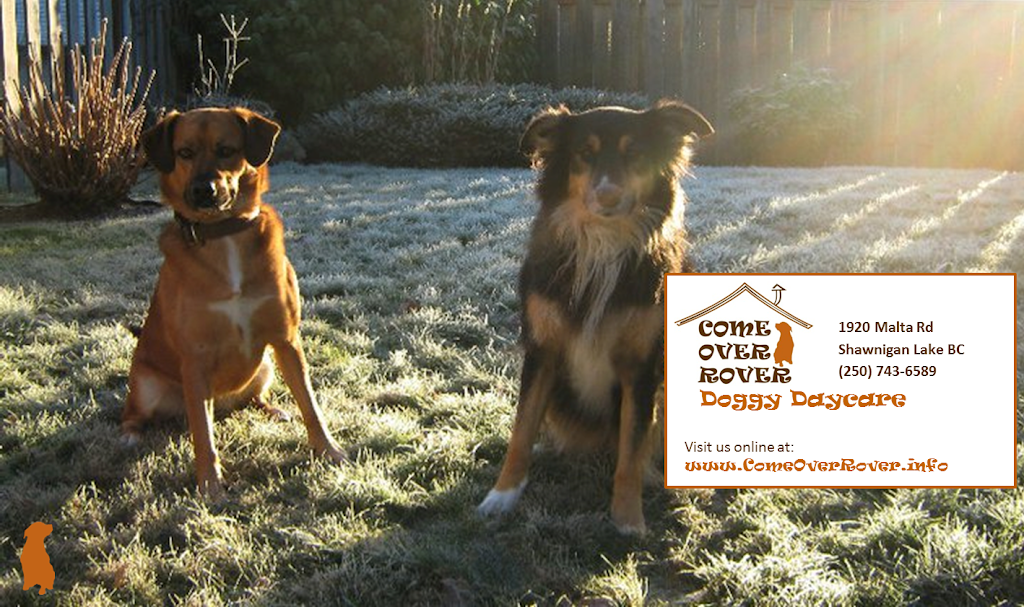 Come Over Rover Daycare & Training | 1920 Malta Rd, Shawnigan Lake, BC V0R 2W1, Canada | Phone: (250) 743-6589