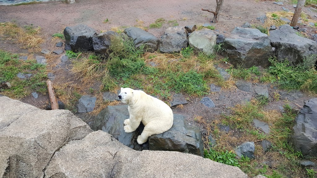 Aquarium of Quebec | 1675 Avenue des Hôtels, Québec, QC G1W 4S3, Canada | Phone: (418) 659-5264