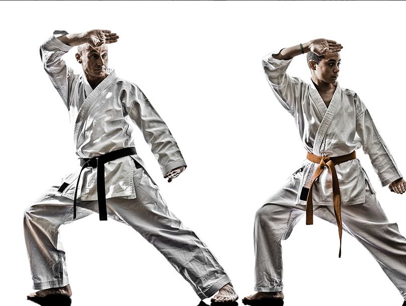 Dynamic Karate | 150 Violet Dr, Hamilton, ON L8E 6B4, Canada | Phone: (905) 928-5425