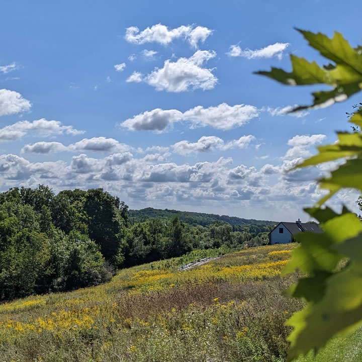 Monarch Meadows Tree Farm | 22668 Valleyview Rd, Thorndale, ON N0M 2P0, Canada | Phone: (226) 455-1422