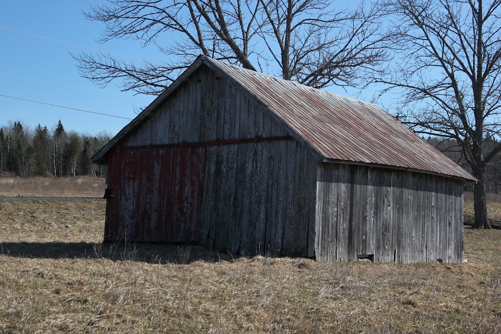 Bostwicks Family Orchard | 36 Bostwick Rd, Kingston, NB E5N 1A3, Canada | Phone: (506) 763-2943