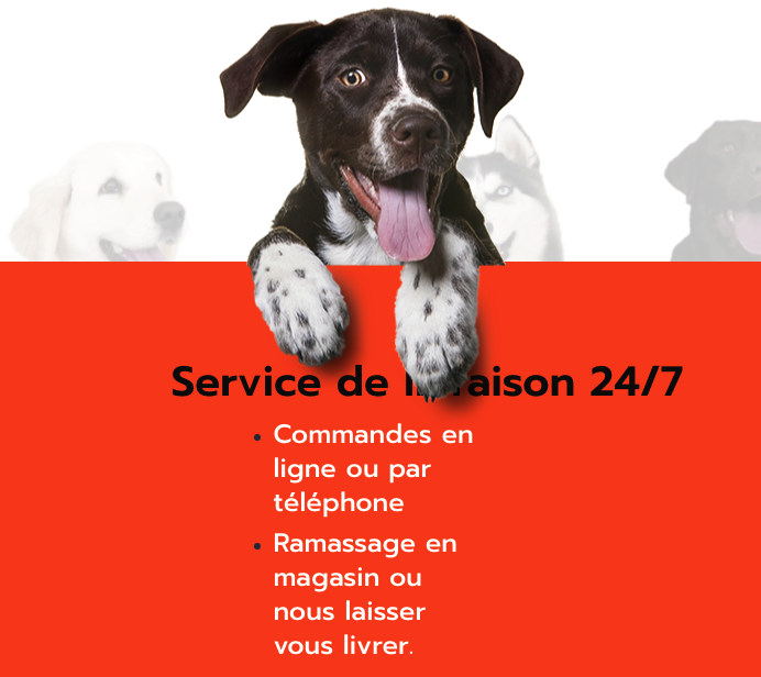 Boucherie K9- Livraison de nourriture crue pour chien | 3672 Boulevard de la Concorde E, Laval, QC H7E 2C9, Canada | Phone: (514) 583-3876