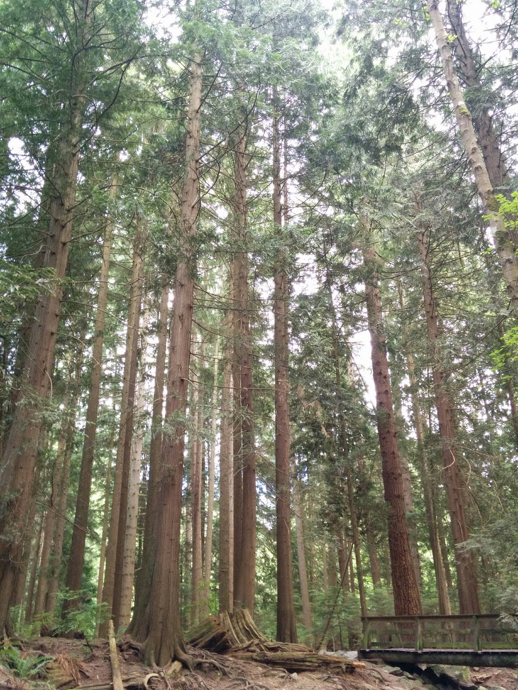 Princess Park Parking | North Vancouver, BC V7K 1G7, Canada