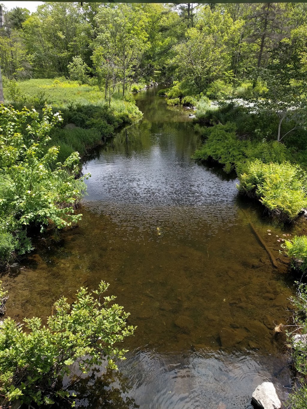 Shubie Trail Head | Shubie Canal Greenway Corridor, Waverley, NS B2R, Canada