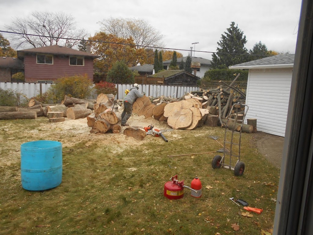 Davey Tree Expert Co of Canada | 277 Welland Ave, St. Catharines, ON L2R 2P7, Canada | Phone: (905) 684-2087