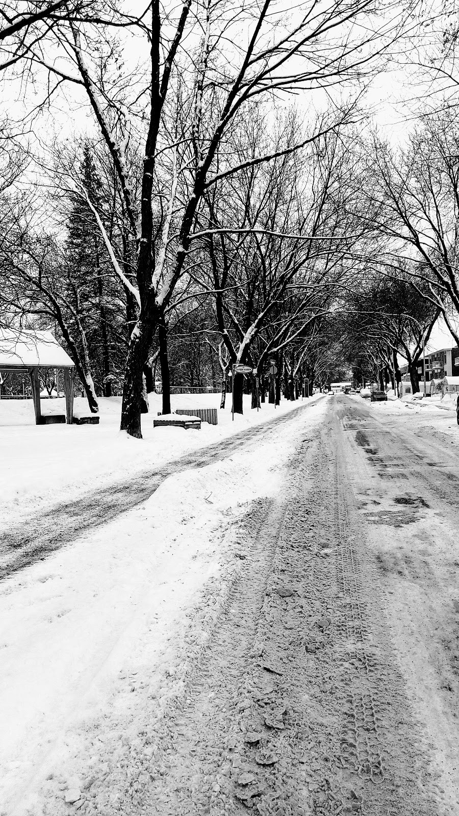 Piste d’athlétisme Lester B.Pearson | Avenue P M Favier, Montréal, QC H1G 0A1, Canada