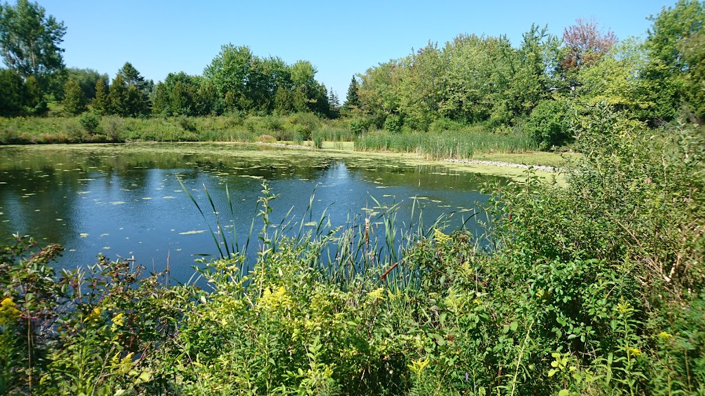 Duffin Creek W.P.C.P. Wildlife Pond | Pickering, ON L1W 3A3, Canada