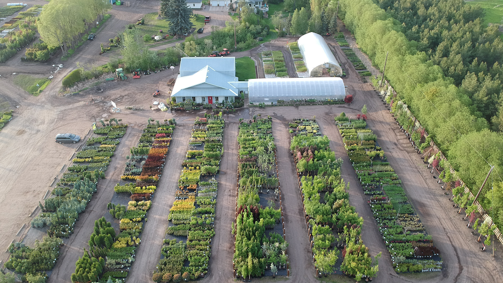 Sunstar Nurseries Ltd. | 810 167 Ave NE, Edmonton, AB T5Y 6K9, Canada | Phone: (780) 472-6103