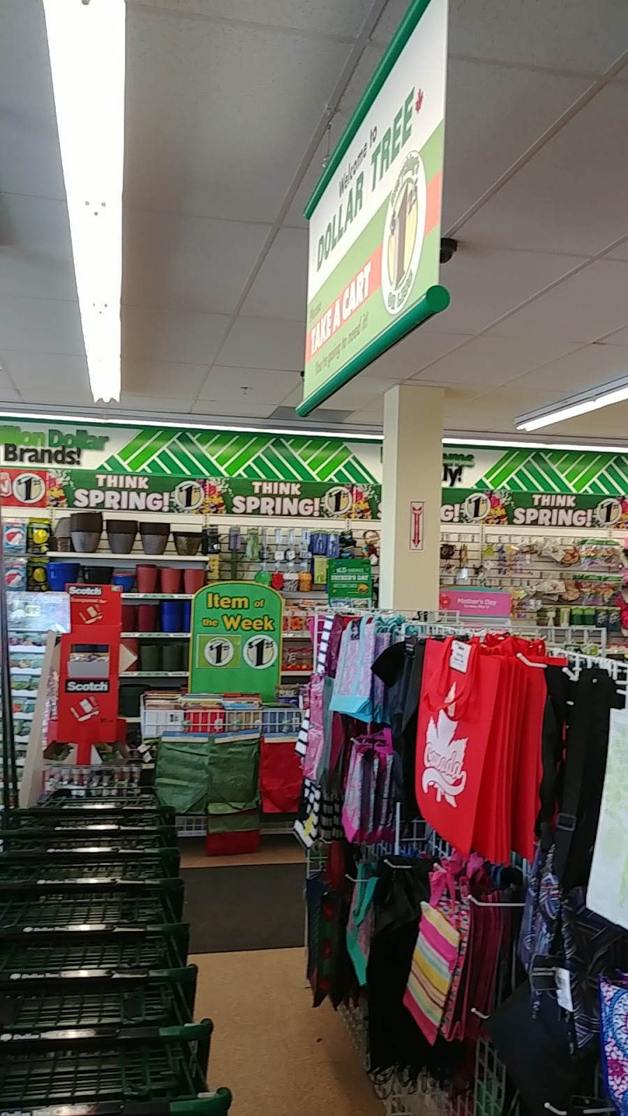 Dollar Tree | 286 Bunting Rd #24, St. Catharines, ON L2M 7S5, Canada | Phone: (905) 704-4572