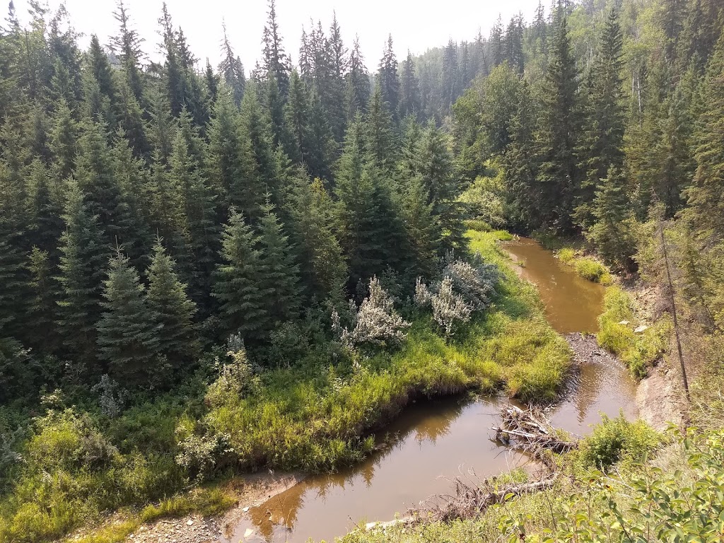 Larch Sanctuary | MacTaggart Sanctuary Trail Loop, Edmonton, AB T6J 5N2, Canada