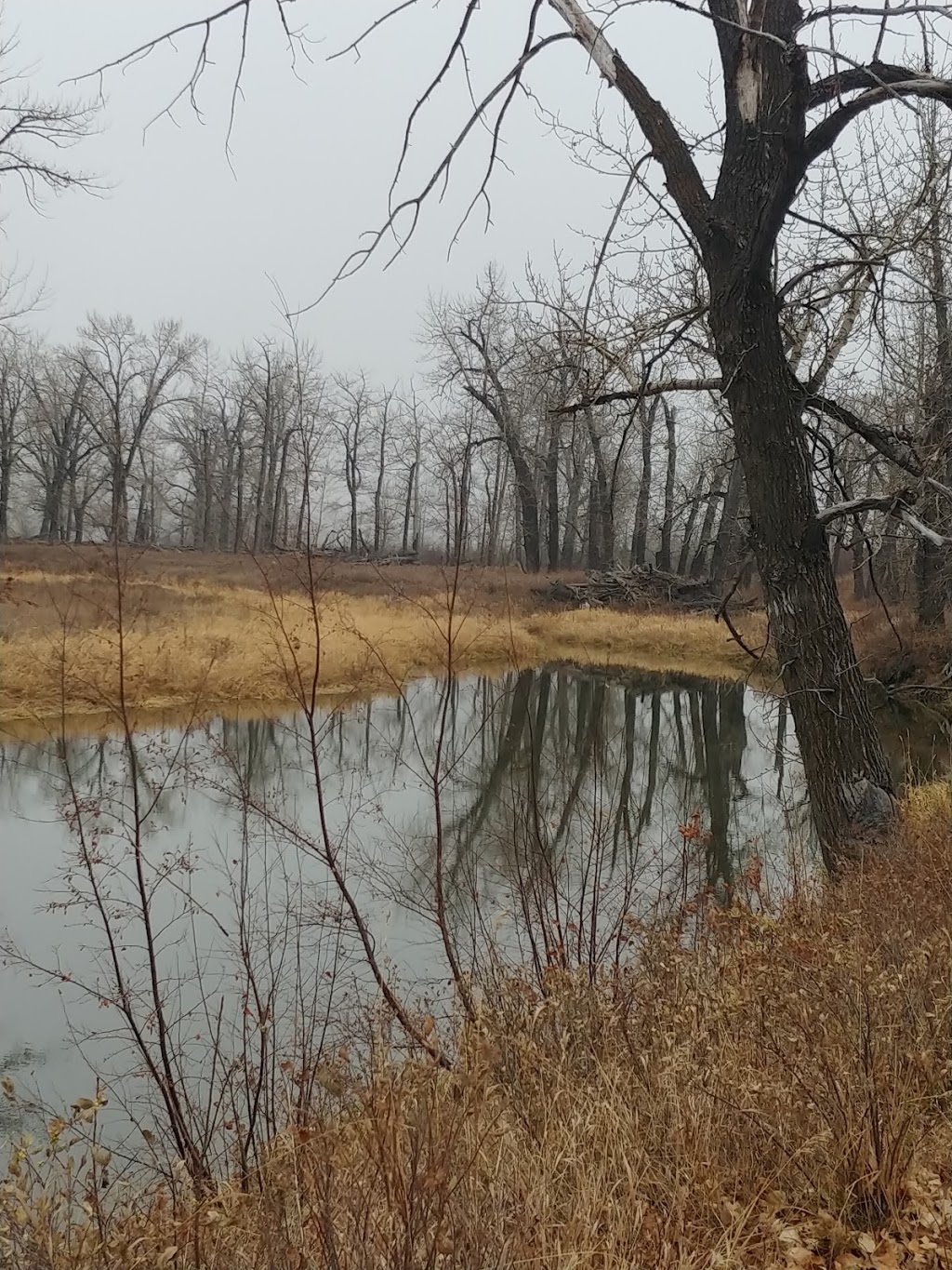 Lafarge Meadows | Southeast Calgary, Calgary, AB T2X, Canada