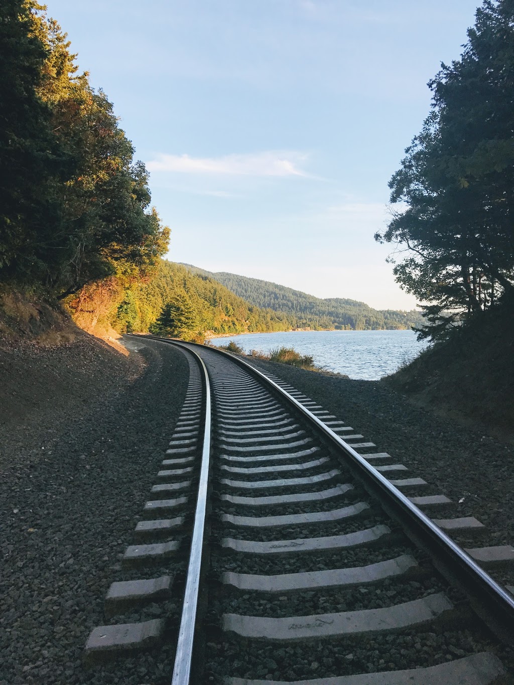 Teddy Bear Cove - Chuckanut Mountain Trails | 1467 Chuckanut Dr, Bellingham, WA 98229, USA | Phone: (360) 384-3444