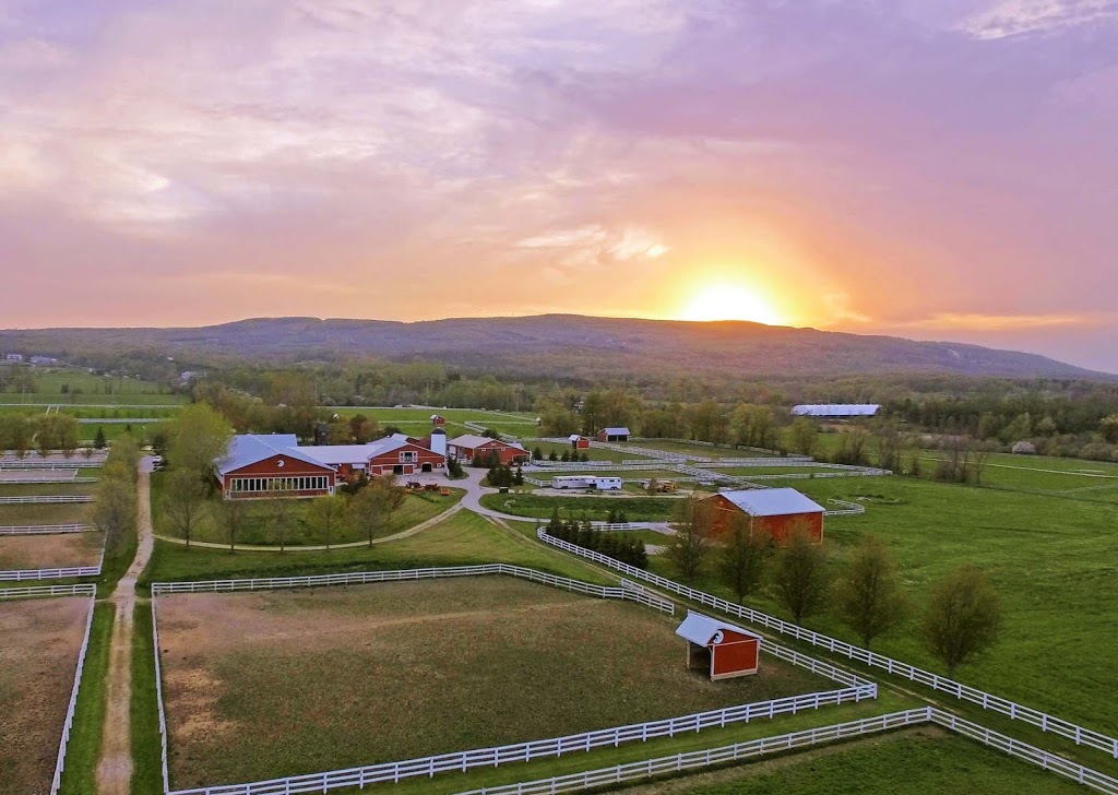 Alpine Equestrian Centre | 795601 Osler Bluff Rd, Collingwood, ON L9Y 3Y9, Canada | Phone: (705) 293-0144