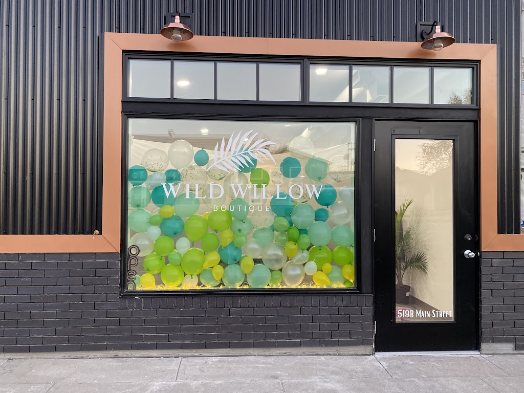 Wild Willow Boutique | 519 B Main St, Three Hills, AB T0M 2A0, Canada | Phone: (403) 443-0272