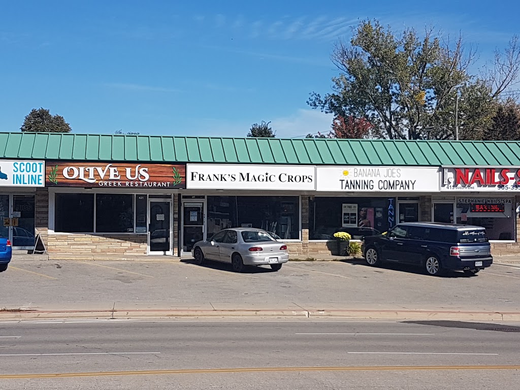 Franks Magic Crops Inc | 419 Guelph Line, Burlington, ON L7R 3L7, Canada | Phone: (905) 333-3282