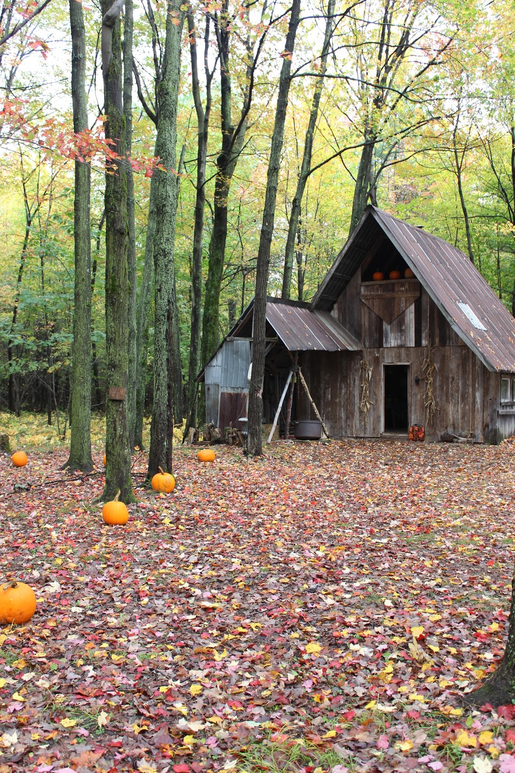 La Brouette à Légumes | 255 Grande Côte E, Lanoraie, QC J0K 1E0, Canada | Phone: (450) 887-1753