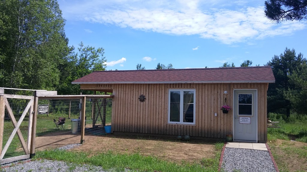 Auberge canine Poupettes et Cie | 2571 Chem. des Daniel, Lac-à-la-Tortue, QC G0X 1L0, Canada | Phone: (819) 852-7746