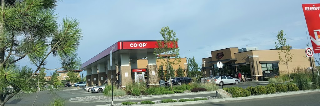 Co-op Gas Bar | 12746 167 Ave NW, Edmonton, AB T6V 1J6, Canada | Phone: (780) 371-2601