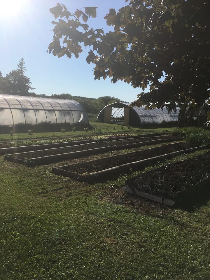 Rural Roots Nursery and Market Garden | 2674 County Rd 42, Stayner, ON L0M 1S0, Canada | Phone: (705) 305-3514