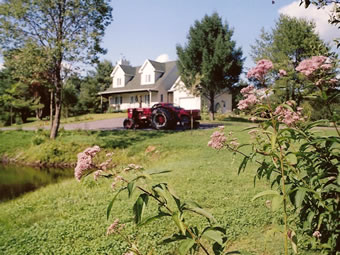 La Fermette Du Ruisseau Fleuri - Cueillette de Framboises & Bleuets Nature | 60 Chemin de Dunham, Frelighsburg, QC J0J 1C0, Canada | Phone: (450) 298-5322