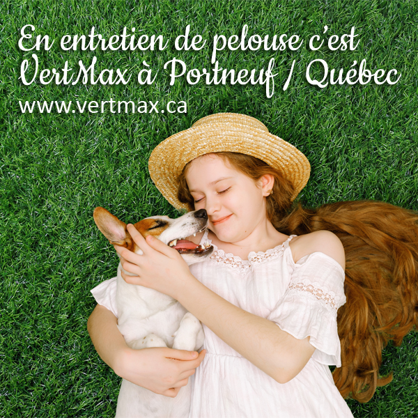 VertMax | 160 Boul Notre Dame, Pont-Rouge, QC G3H 3K7, Canada | Phone: (581) 993-8378