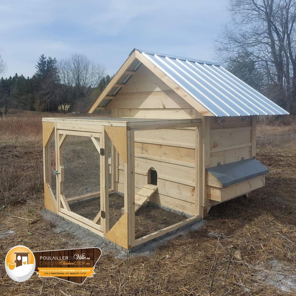 Chicken Coop (canadianchickencoop.ca) | 611 Chem. des Cèdres, Notre-Dame-du-Laus, QC J0X 2M0, Canada | Phone: (819) 767-2626