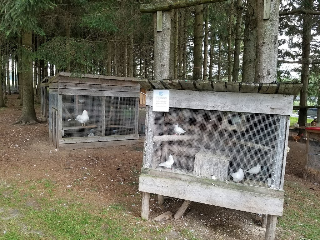 La Ferme Du Pêché Mignon | 110 1er Rang, Saint-Romain, QC G0Y 1L0, Canada | Phone: (418) 486-2451