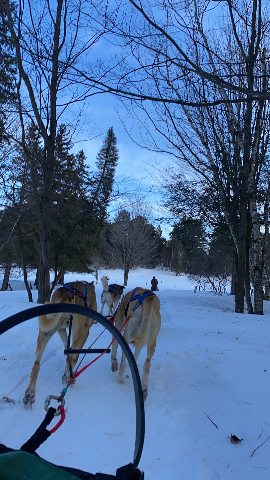 Les Aventures Liguoriennes | 179 5e Rang, Saint-Liguori, QC J0K 2X0, Canada | Phone: (450) 834-1387