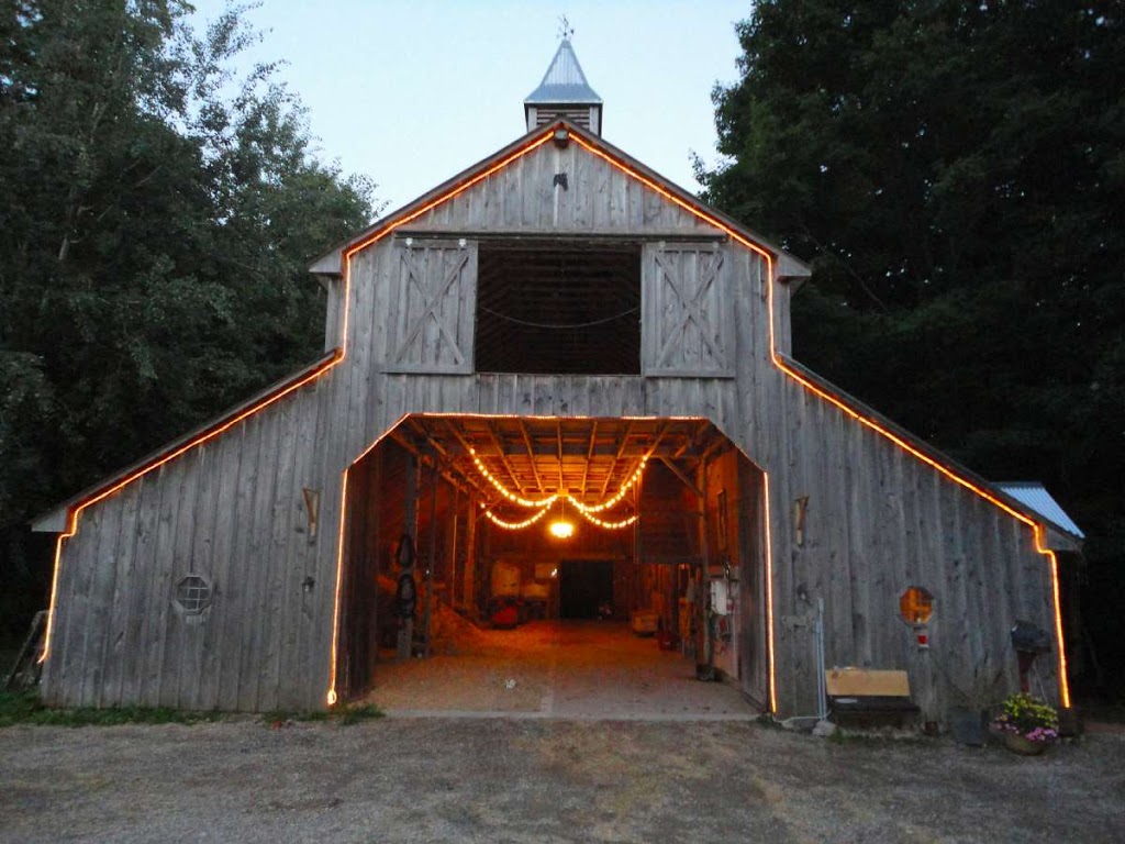 Springhill mtn Stables | 3079 Perth County Rd 180, Staffa, ON N0K 1Y0, Canada | Phone: (519) 345-2244