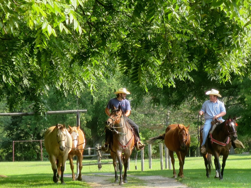 Texas Longhorn Ranch | 1745 Melwood Dr, Strathroy, ON N7G 3H5, Canada | Phone: (519) 247-3644