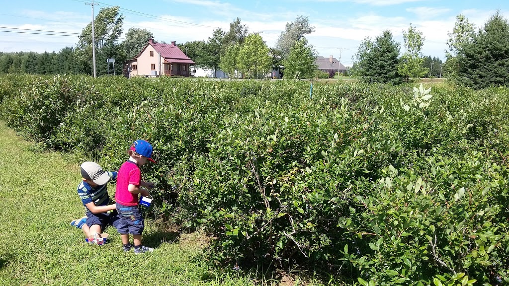 La Ferme Lareault | 260 Rang St Charles, Saint-Thomas, QC J0K 3L0, Canada | Phone: (450) 756-8914