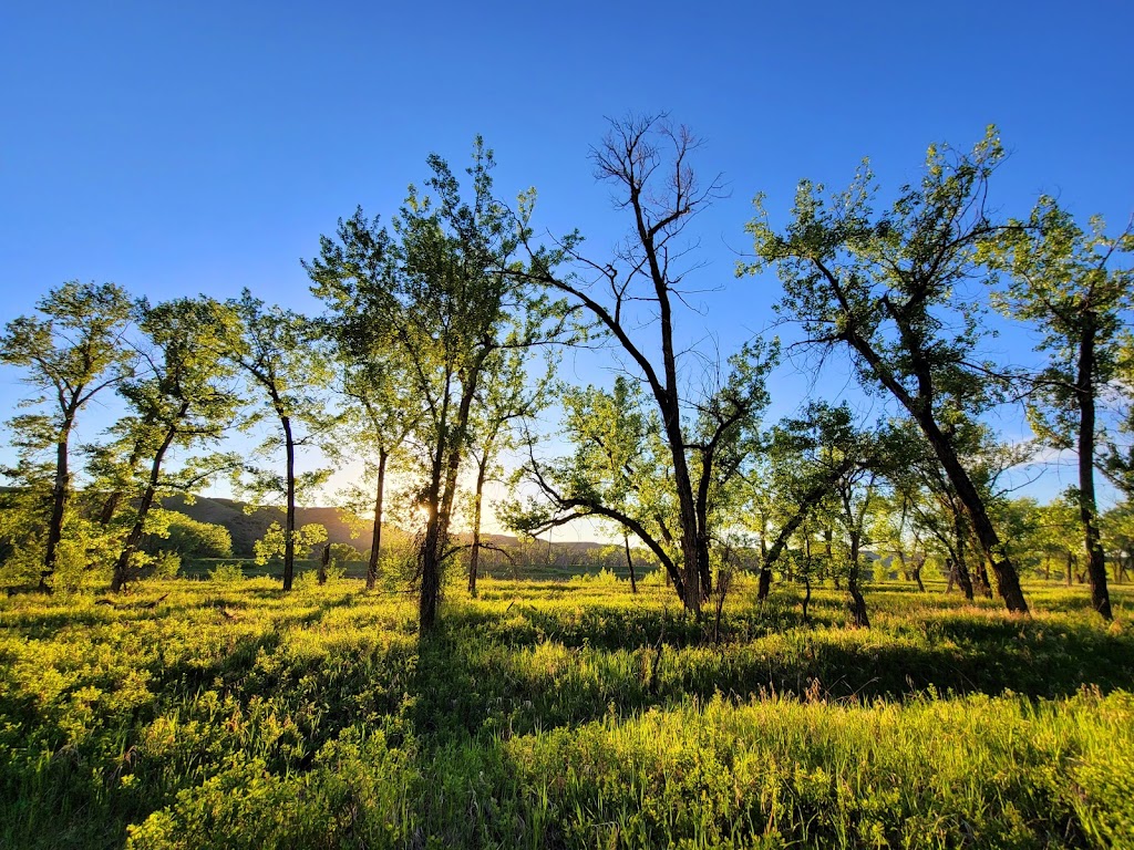 Lethbridge Nature Reserve | 300 Indian Battle Rd S, Lethbridge, AB T1J 0P6, Canada | Phone: (403) 320-3064