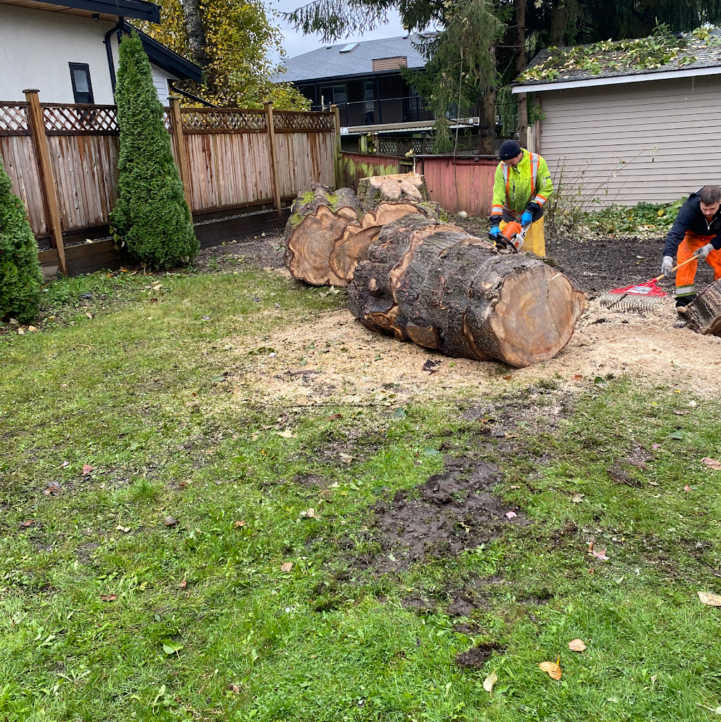 A1 tri craft tree services | 838 Whitchurch St, North Vancouver, BC V7L 2A4, Canada | Phone: (604) 396-3662