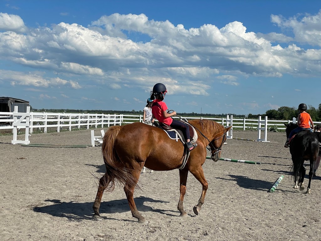 Centre Equestre Le Pré Vert | 1h45, Rang Saint-André, Saint-Philippe, QC J0L 2K0, Canada | Phone: (450) 904-2011