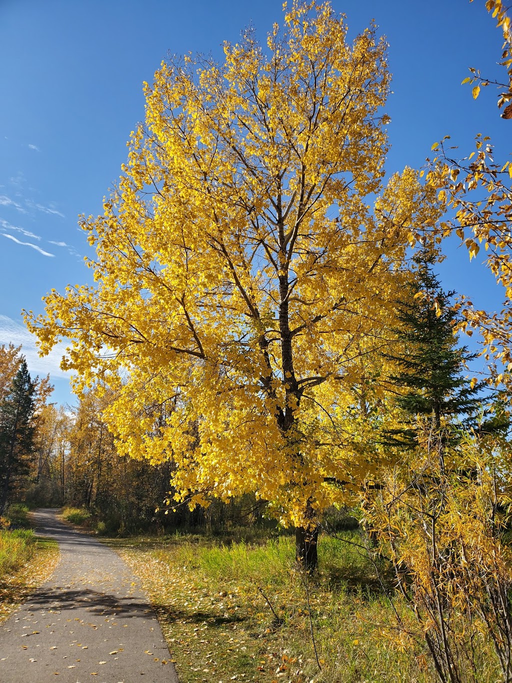 McKenzie Trails Park. | Red Deer, AB T4N 3M4, Canada | Phone: (403) 443-8721