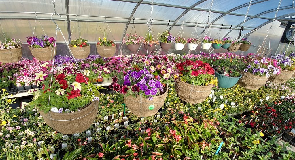 Dons Greenhouse and Aviary | Twp Rd 304 252070C, Linden, AB T0M 1J0, Canada | Phone: (403) 813-1812