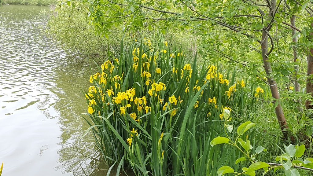 Lilac Grove Parkette | Richmond Hill, ON L4S 1T9, Canada