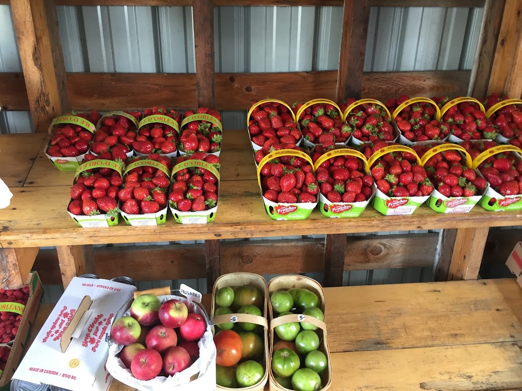 Ferme Denis Plante Fraises Framboises | 7497 Chem. Royal, Saint-Laurent-de-lÎle-dOrléans, QC G0A 3Z0, Canada | Phone: (418) 828-2429