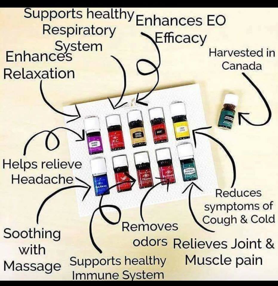 Young Living Essential Oils Distributor Laura Dorward | 3928 67 St NW, Edmonton, AB T6K 2N8, Canada | Phone: (780) 655-5023