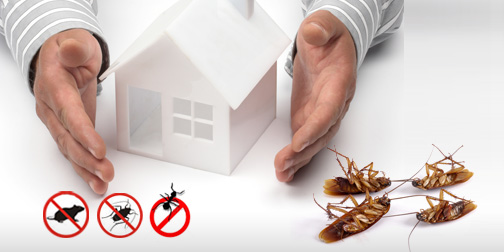 Integral XT Pest Control West Island | 2949 Rue Montcalm, Vaudreuil-Dorion, QC J7V 7W9, Canada | Phone: (855) 472-3352