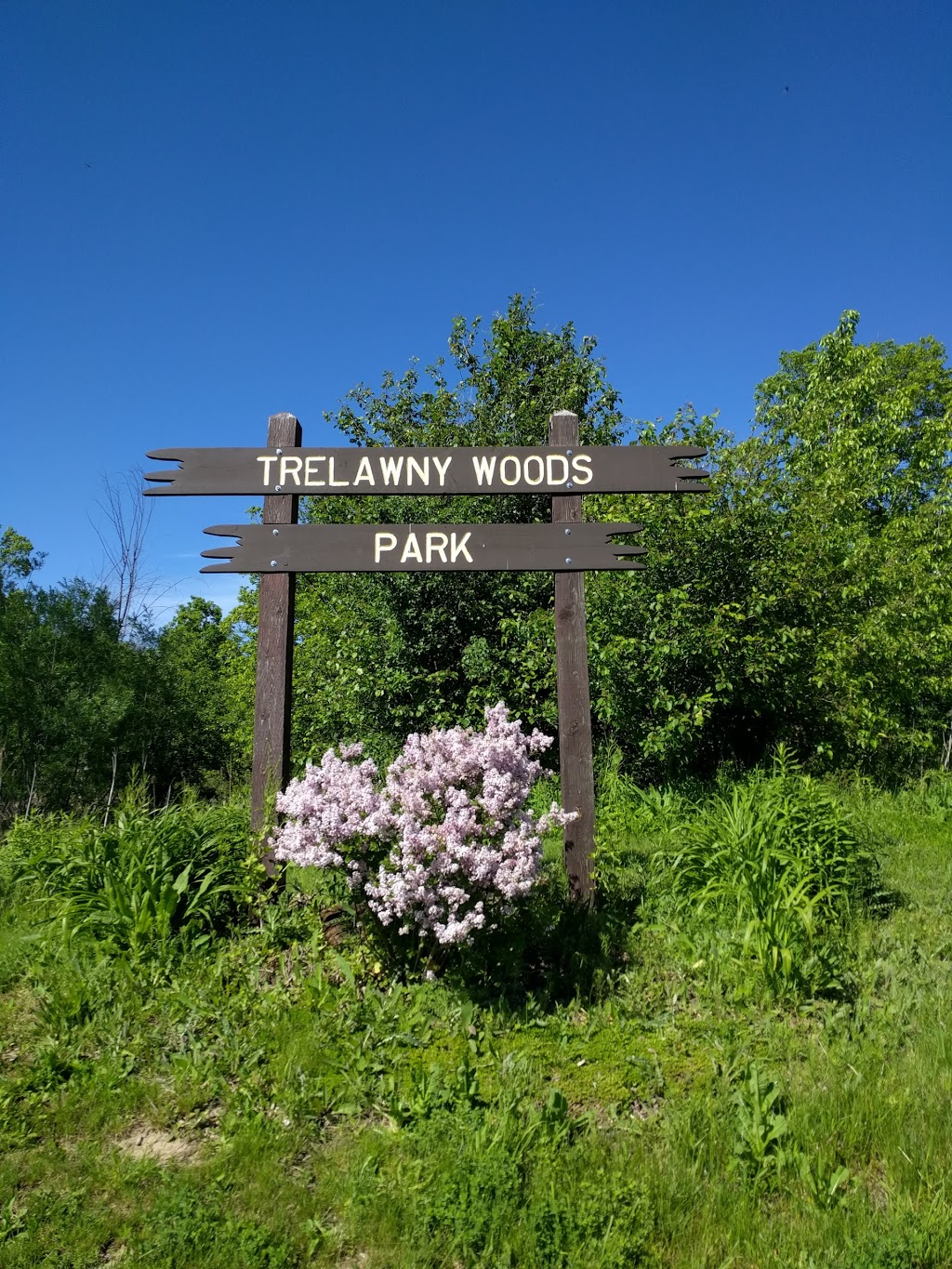 Trelawny Woods | 3500 Trelawny Cir, Mississauga, ON L5N 6N7, Canada | Phone: (905) 615-4311