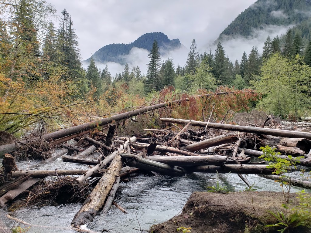 Halfmoon Beach | Fraser Valley F, BC V0M, Canada