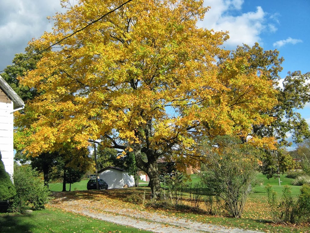 Kanikonhriyohtshera Learning Center & Healing Lodge | 8039 Indian Line, Hagersville, ON N0A 1H0, Canada | Phone: (289) 260-5736