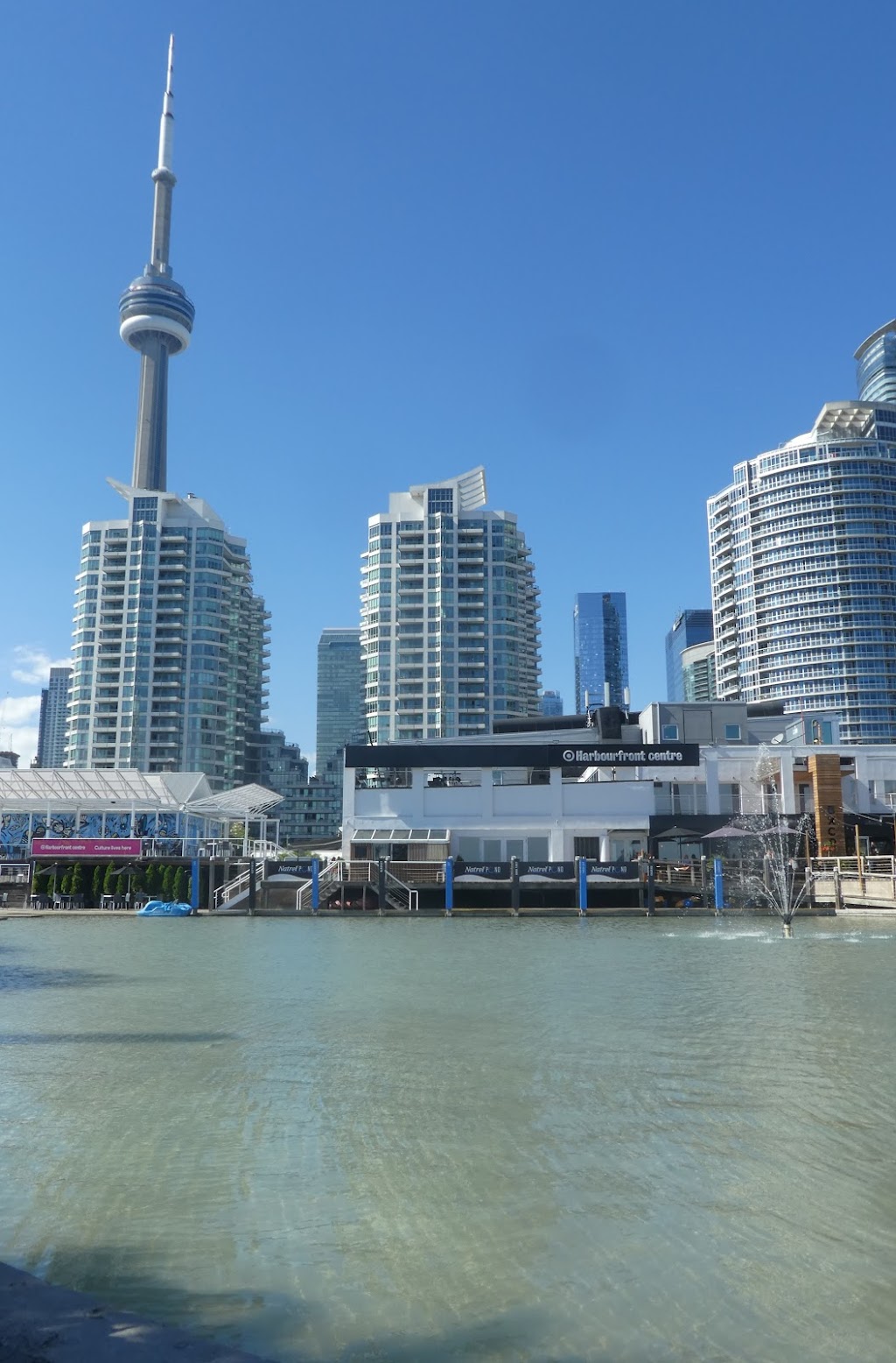 Harbourfront Centre Camps | 235 Queens Quay W, Toronto, ON M5J 2G8, Canada | Phone: (416) 973-4093