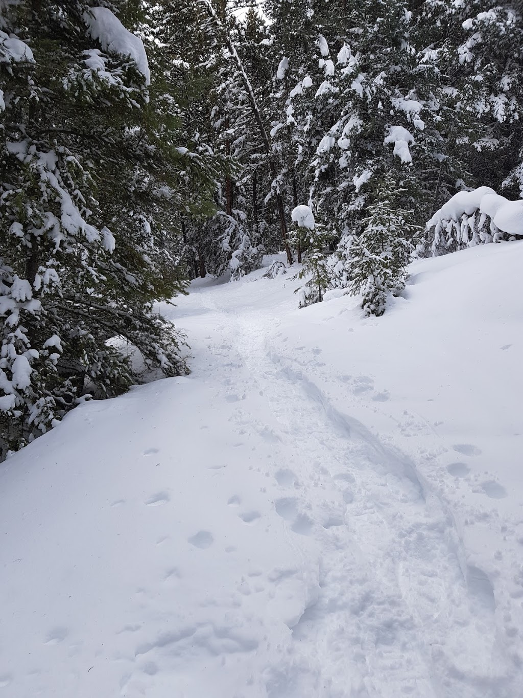 Orient Quad Chairlift | 5000 Sun Peaks Rd, Sun Peaks, BC V0E 5N0, Canada | Phone: (250) 578-5474