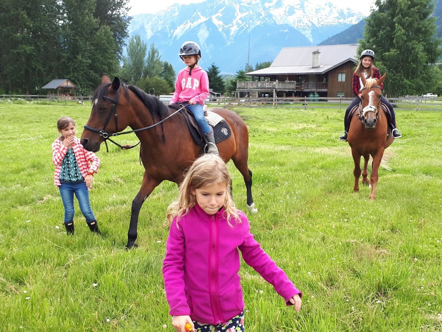 Mountain Horse School | 7370 Harrow Rd, Pemberton, BC V0N 2L0, Canada | Phone: (778) 266-0677