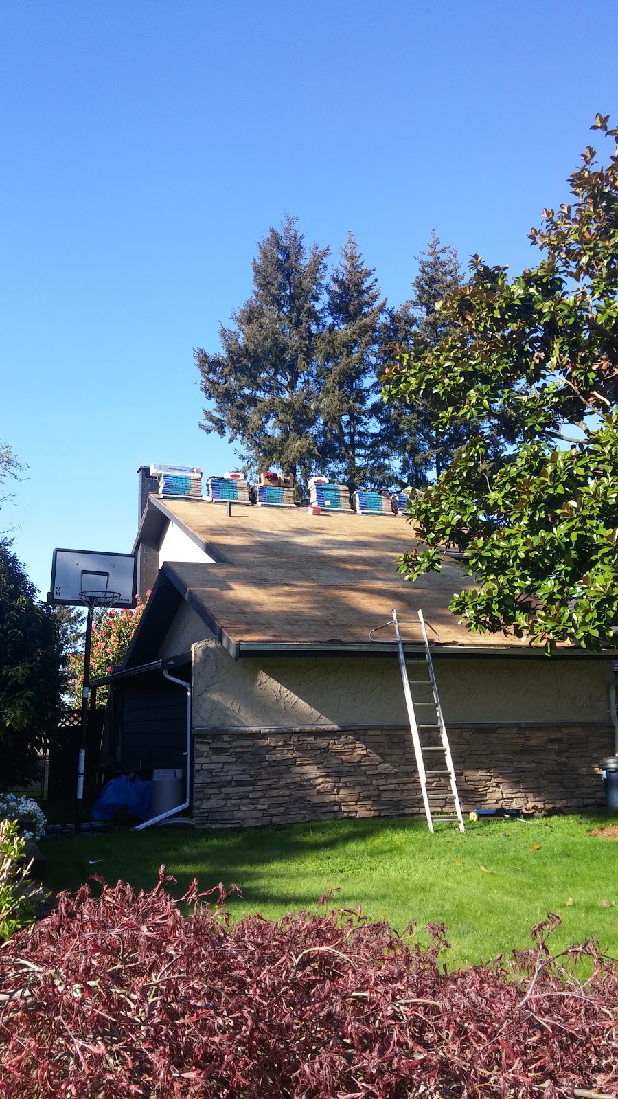 Ray Browne Roofing Ltd | 1244 Plymouth Crescent, Port Coquitlam, BC V3B 6H2, Canada | Phone: (604) 941-6120