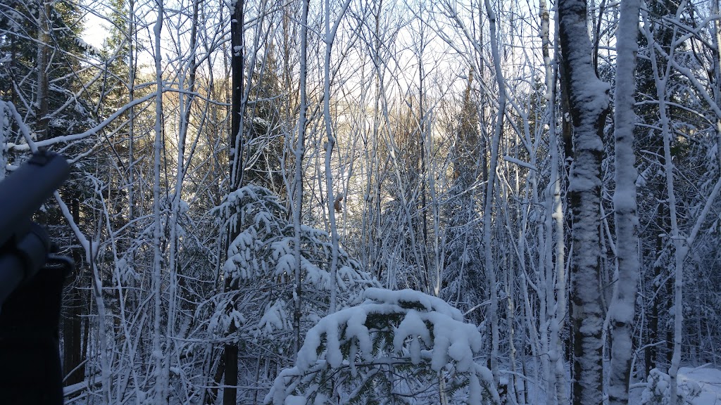 Hameaux De La Source | 387 Chem. de la Sablière, Lantier, QC J0T 1V0, Canada | Phone: (438) 558-9074