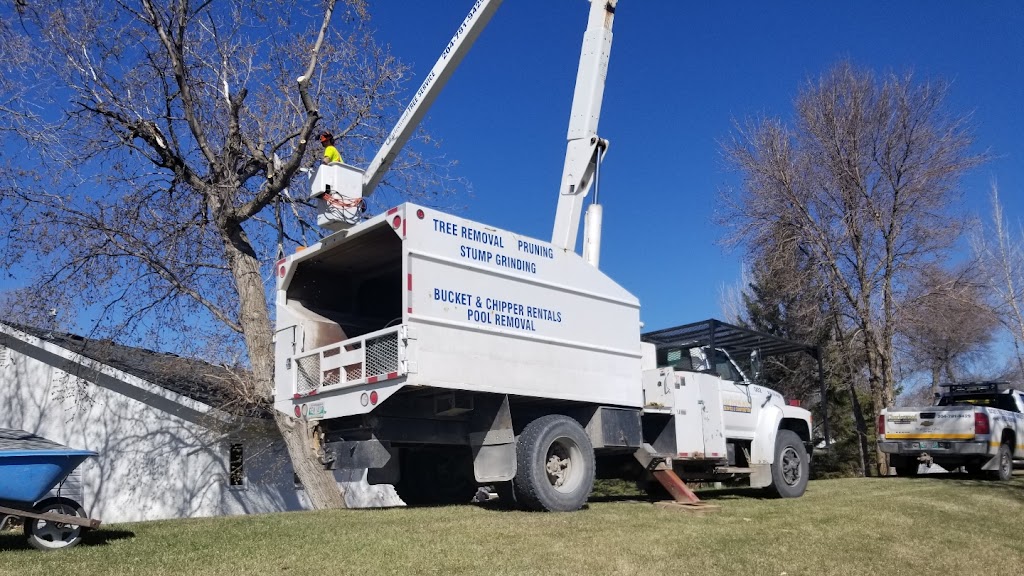 Charleswood Tree Service | 11 sabrina way, Headingley, MB R3S 1C5, Canada | Phone: (204) 781-9429