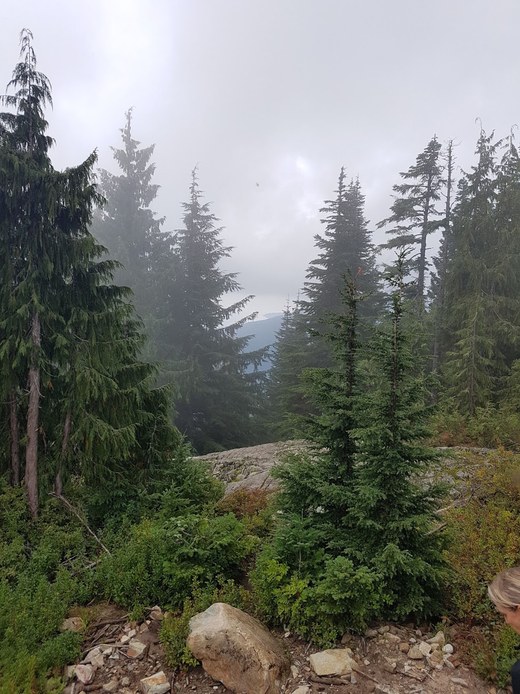 Grouse Grind | Grouse Grind, North Vancouver, BC V7R 4K9, Canada